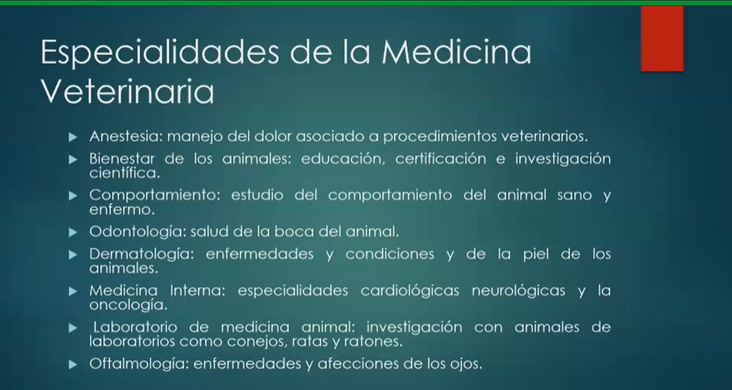 Introducción a medicina veterinaria